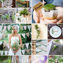 A Dash of Flavour { Aromatic Herbs }
