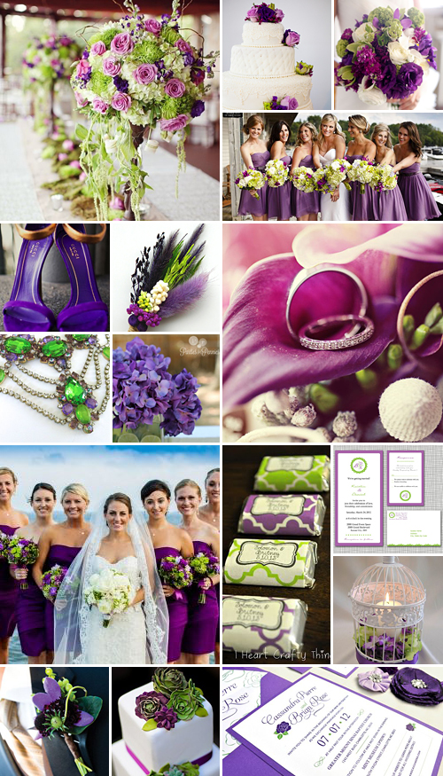 Purple and Green: A Striking Combination