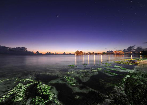 Zanzibar: The Majestic Spice Island