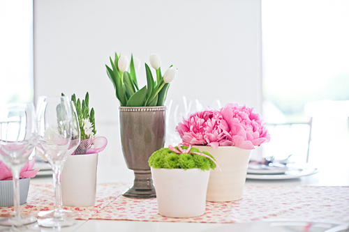 Peonies: Feminine, Romantic and Lovely!