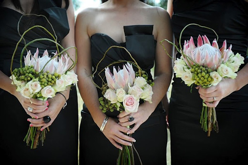 Wedding Proteas