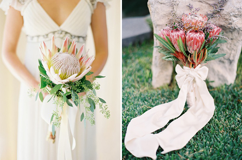 Wedding Proteas