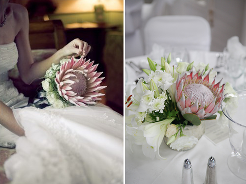 Wedding Proteas