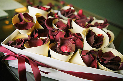 Biodegradable Confetti