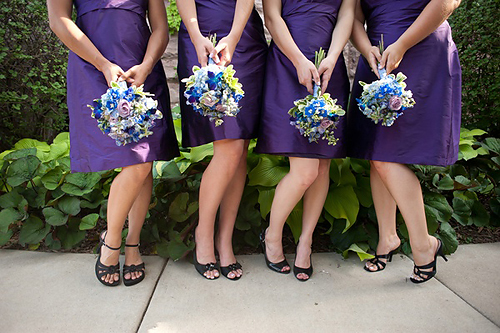 Blue and Purple Weddings