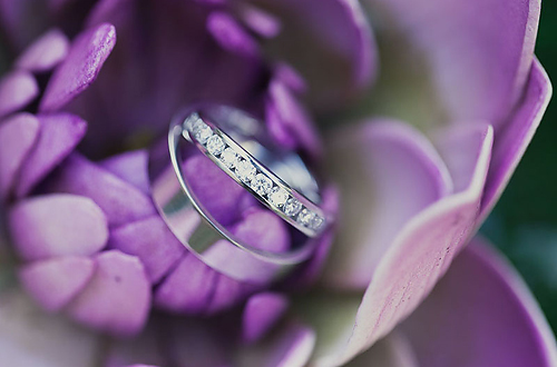 Cindy and Grant {Purple Bliss}