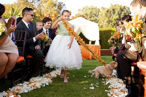 Orange and Lime Weddings