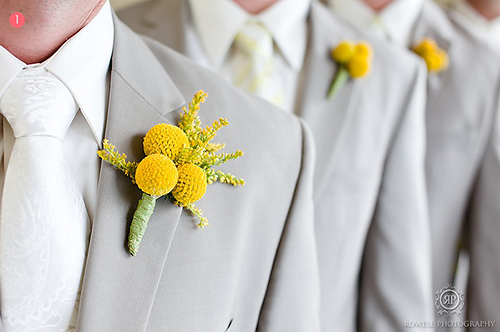 Boutonnières for the Boys