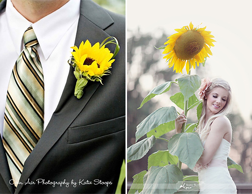 Sunflower Wedding Theme