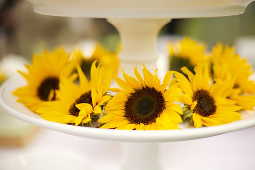 Sunflower Wedding Theme