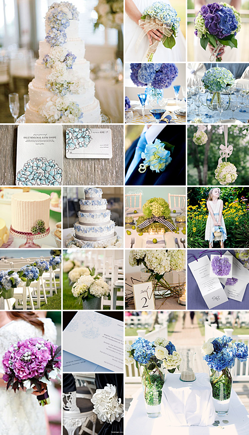 Hydrangeas { Soft + Striking }