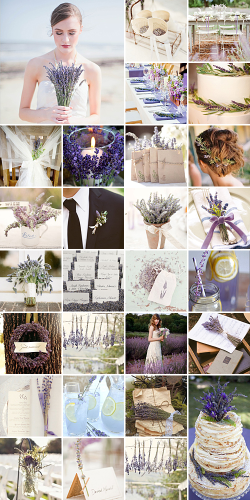 Lavender Love { Timeless + Fragrant }