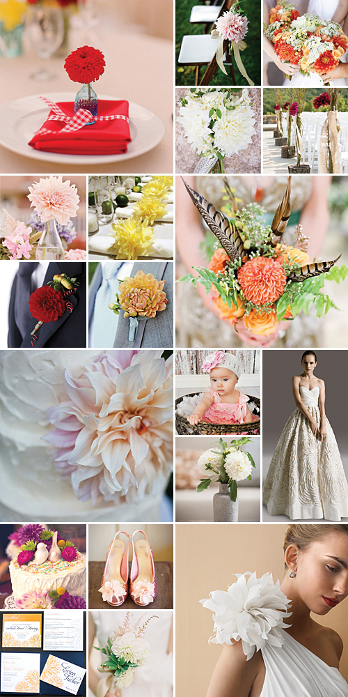 Darling Dahlia { Vibrant Opulence } 