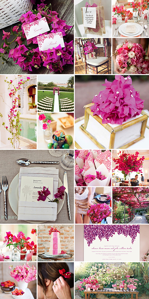 Bougainvillea Weddings