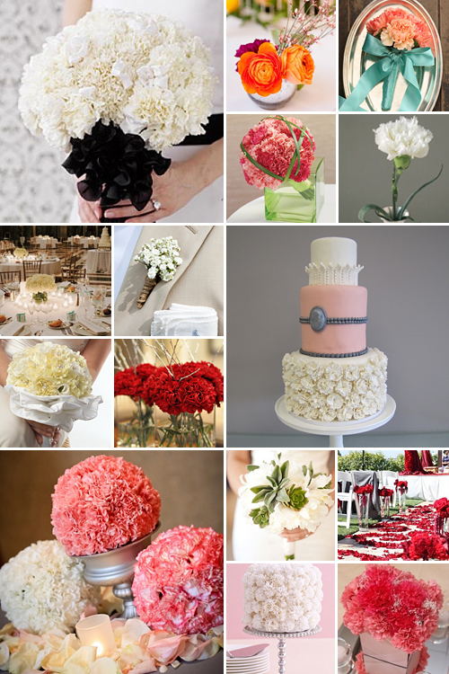 Wedding Carnations { Antique Elegance }