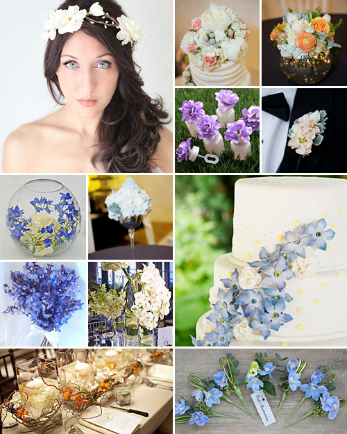 Darling Delphiniums { Country Garden }