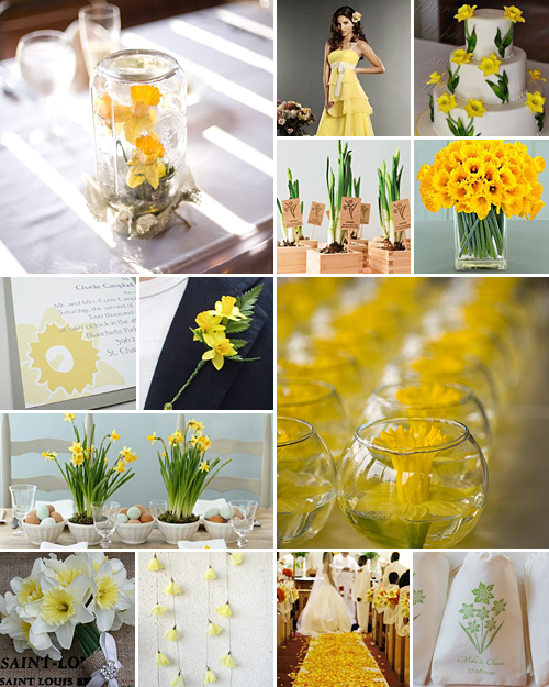 Dancing Daffodils { The Sunshine Flower }