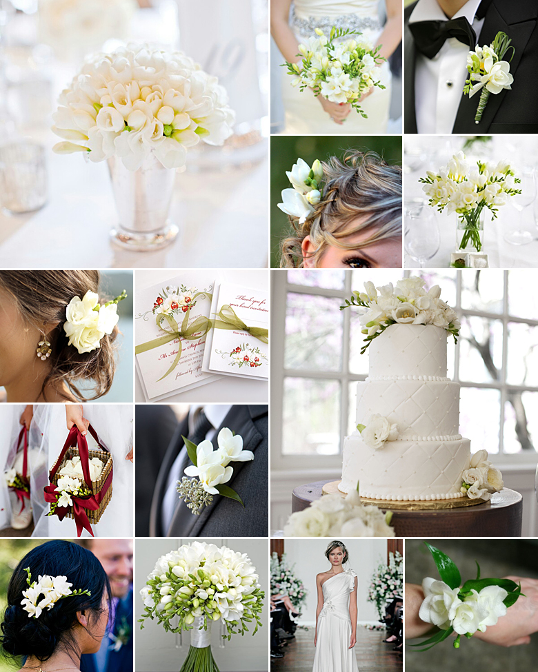 Freesias { Local Lovelies }