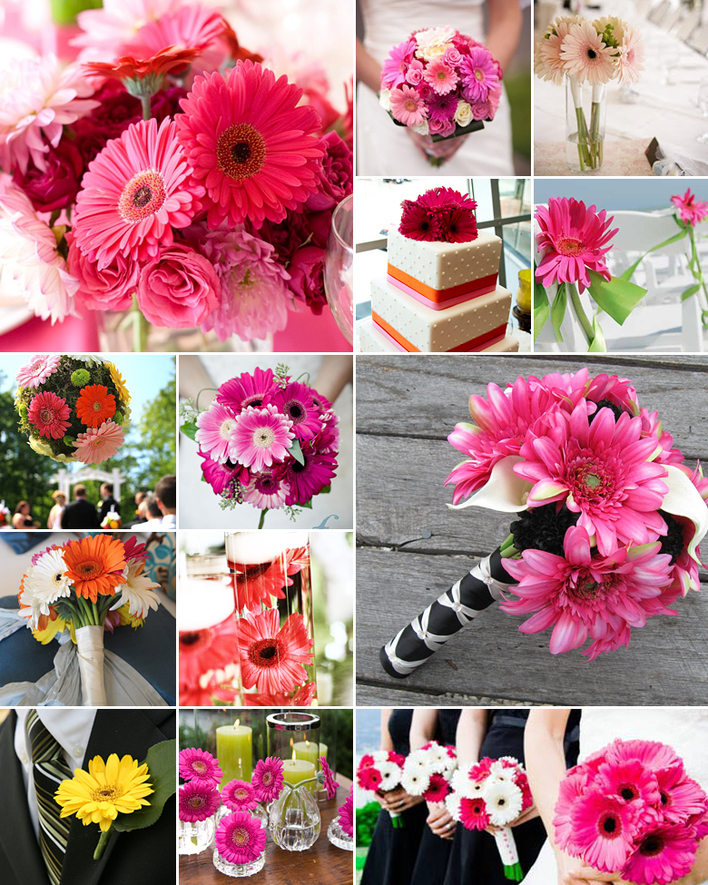 Gerberas { Simplistic Splendour }