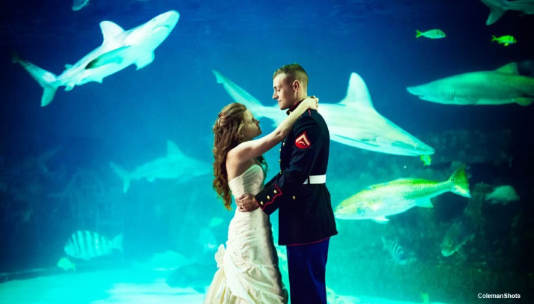 Aquarium Weddings