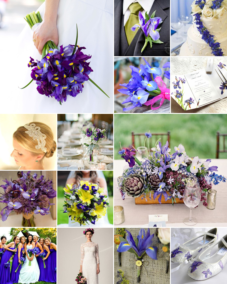 Wedding Irises { Fleur-de-lis }