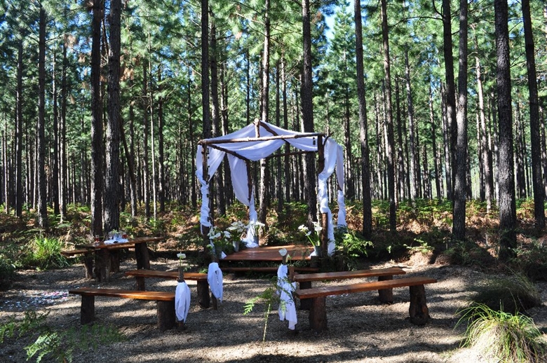 Forest Weddings