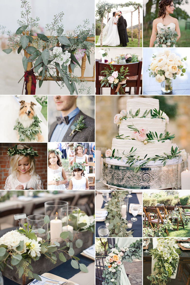 Eucalyptus Euphoria { Organic Simplicity }