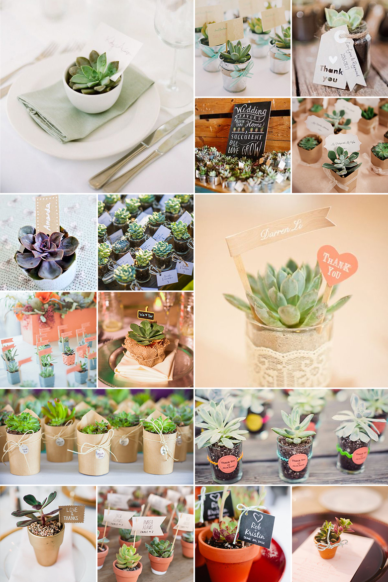 Oh So Succulent { Wedding Favours }