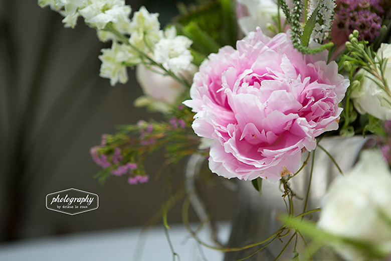 Maria and Shaun's Hout Bay Celebration