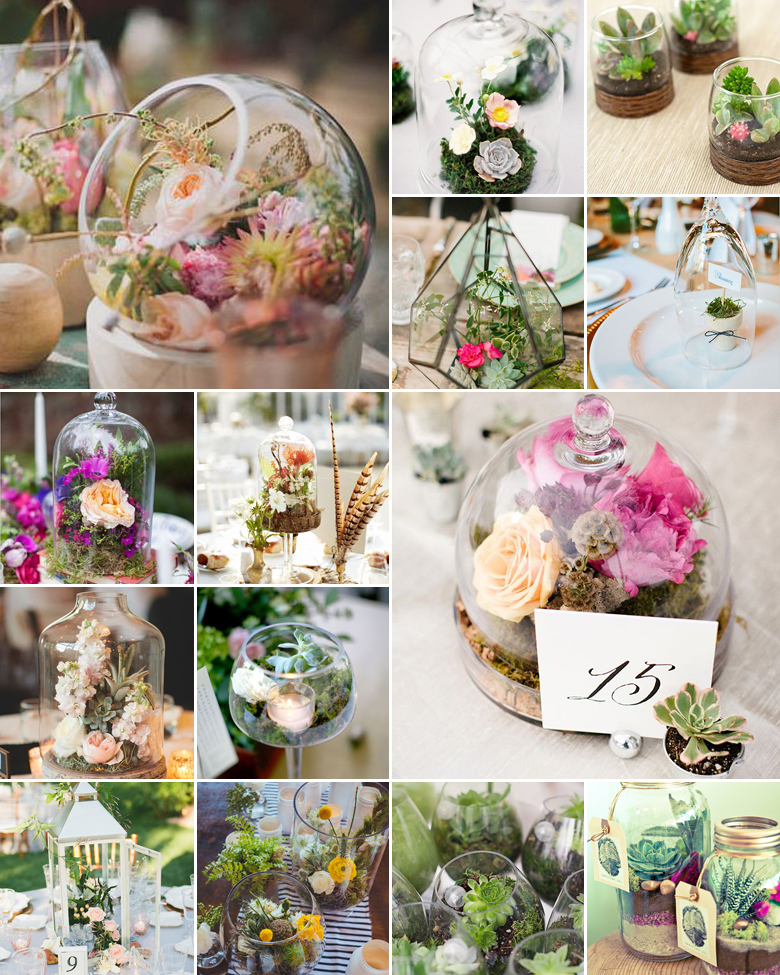 DIY Terrariums { Lush + Lovely }