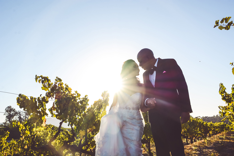 Fran and Tyrone's Elegant Wedding in the Cape Winelands