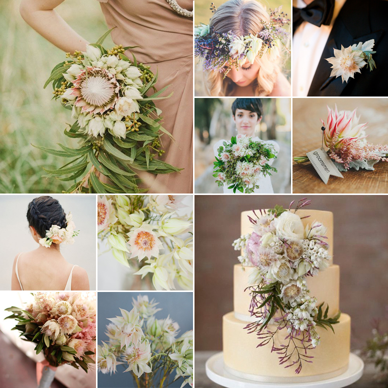 Blushing Bride { Protea Prettiness }