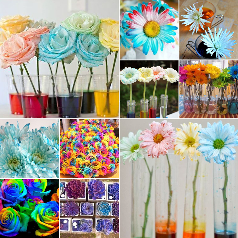 DIY Flowers { Choose your Colour }