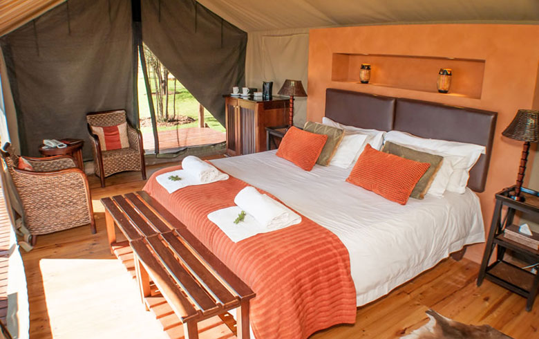 Buffelsdrift Game Lodge