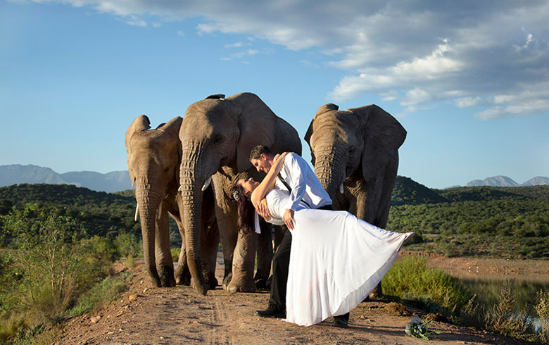 Buffelsdrift Game Lodge