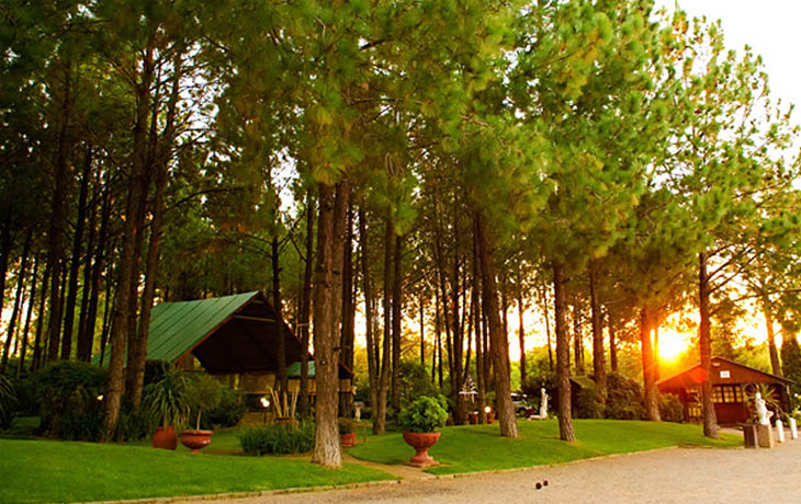 Gauteng Wedding  Venues  The Forest  Walk Venue 